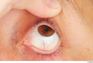 HD Eyes Thelma Tigger eye eye texture eyelash iris pupil…